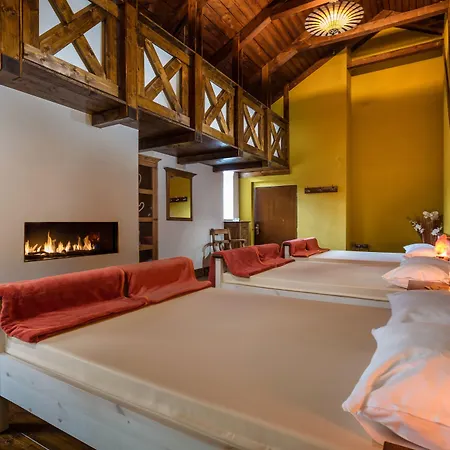 Hotel Bankov 4*